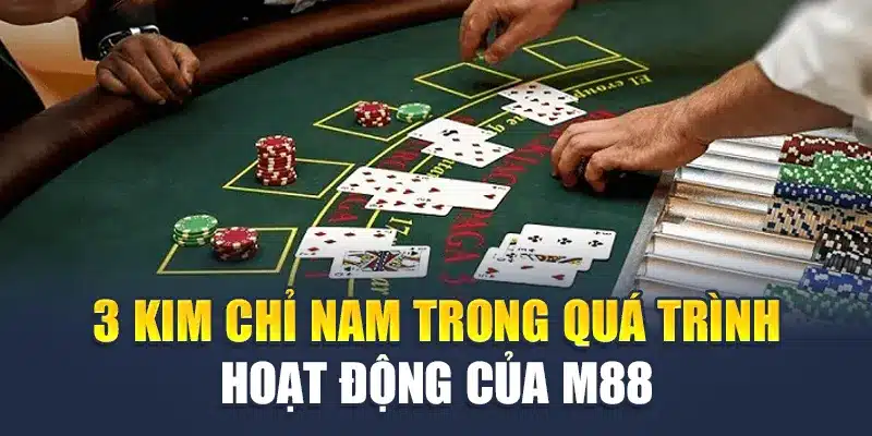 Lịch Sử Phát Triển M88 2 3 kim chỉ nam trong quá trình hoạt động của M88