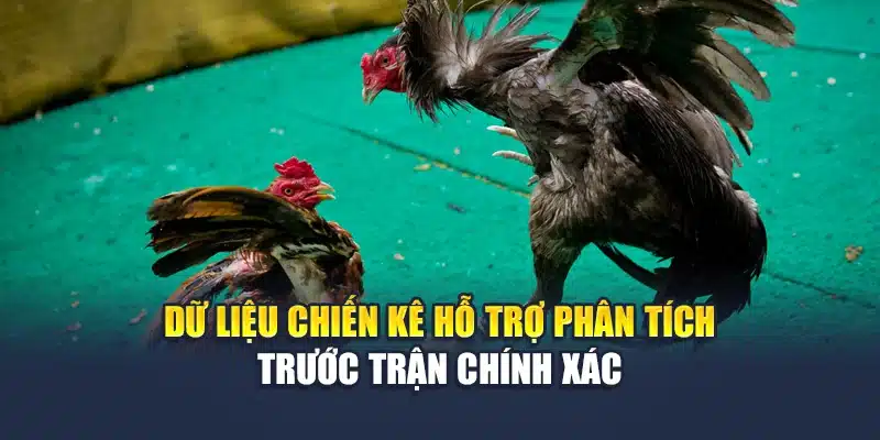 Dữ liệu chiến kê hỗ trợ phân tích trước trận chính xác